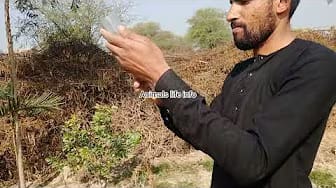 Post 7 by Animals life info on YouTube (video)
