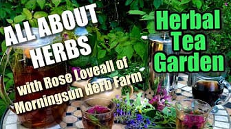 Post 5 by Morningsun Herb Farm on YouTube (video)