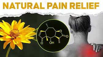 Post 3 by Jenyin Herbs on YouTube (video)