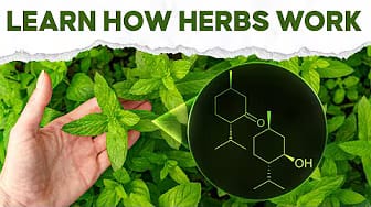 Post 2 by Jenyin Herbs on YouTube (video)