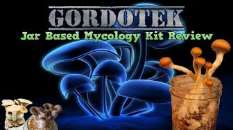 Post 9 by GordoTEK on YouTube (video)