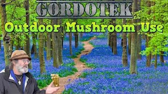 Post 1 by GordoTEK on YouTube (video)