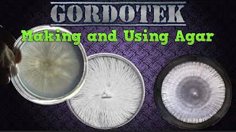 Post 4 by GordoTEK on YouTube (video)