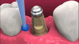 Post 6 by Smyl Manatee - Creating Lifelong Smiles on YouTube (video)