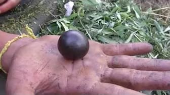 Post 2 by Joe Jarraz Mountain Medicine on YouTube (video)