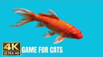 Post 2 by GAME FOR CATS TV - CAT VIDEOS😺 on YouTube (video)