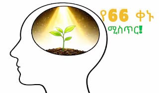 Post 8 by Mahlet Yohannes on YouTube (video)