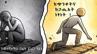 Post 5 by Mahlet Yohannes on YouTube (video)