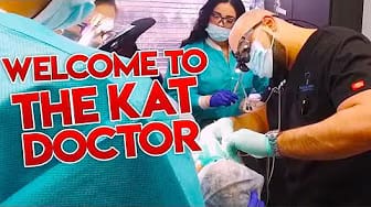 Post 2 by The Kat Doctor on YouTube (video)