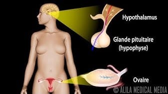 Post 7 by Alila Medical Media en Français on YouTube (video)