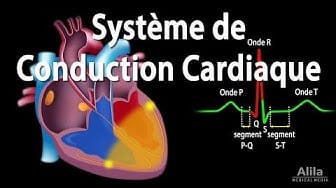 Post 6 by Alila Medical Media en Français on YouTube (video)