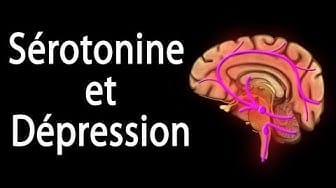 Post 3 by Alila Medical Media en Français on YouTube (video)