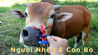 Post 6 by Gun Tv - Nursery Rhymes on YouTube (video)