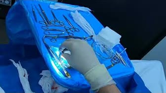 Post 2 by Dr. Amy Bandy on YouTube (video)