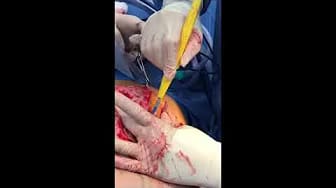 Post 9 by Dr. Amy Bandy on YouTube (video)