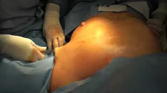 Post 6 by Dr. Amy Bandy on YouTube (video)