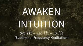 Post 1 by The Mind's Flow on YouTube (video)