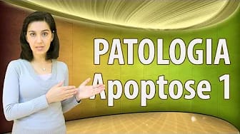 Post 3 by Educação em Ciências Médicas on YouTube (video)