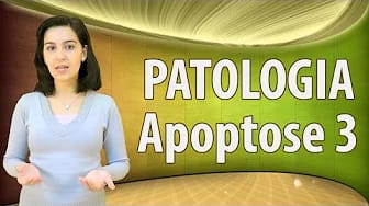 Post 4 by Educação em Ciências Médicas on YouTube (video)