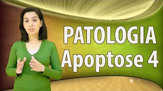 Post 6 by Educação em Ciências Médicas on YouTube (video)