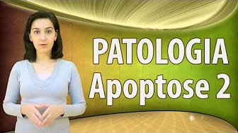 Post 7 by Educação em Ciências Médicas on YouTube (video)