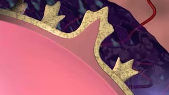 Post 9 by Bethea Medical Media on YouTube (video)