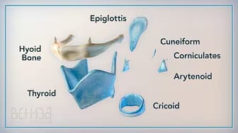 Post 2 by Bethea Medical Media on YouTube (video)