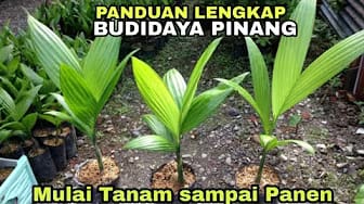 Post 1 by MODERN AGRICULTURE on YouTube (video)