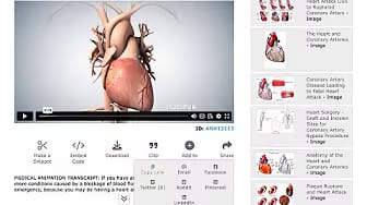 Post 7 by SMART Scientific & Medical Art on YouTube (video)