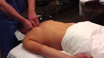Post 7 by Professor Toby Mulvihill on YouTube (video)