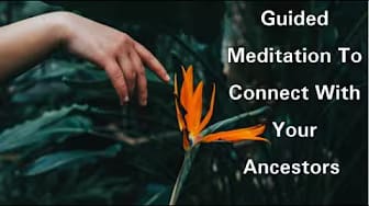 Post 6 by healtravellove on YouTube (video)