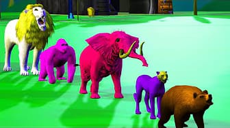 Post 6 by Rainbow - Nursery Rhymes on YouTube (video)