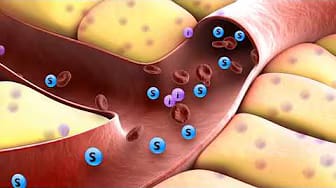 Post 9 by Novo Nordisk insulin-containing products on YouTube (video)
