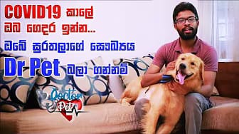 Post 9 by Doctor Pet on YouTube (video)
