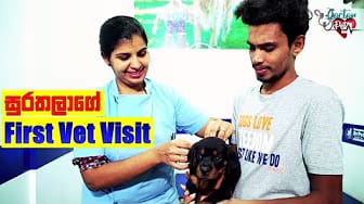 Post 8 by Doctor Pet on YouTube (video)