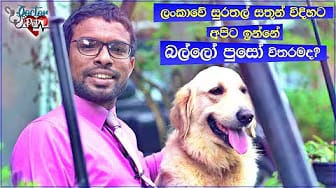 Post 3 by Doctor Pet on YouTube (video)
