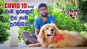 Post 4 by Doctor Pet on YouTube (video)