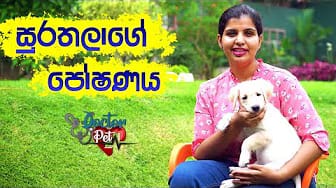 Post 1 by Doctor Pet on YouTube (video)