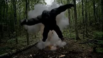 Post 4 by Outdoor Bigfoot on YouTube (video)