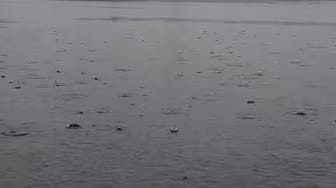 Post 10 by Raining Sleep on YouTube (video)
