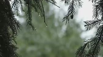 Post 1 by Raining Sleep on YouTube (video)