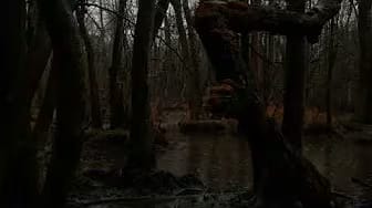 Post 7 by Raining Sleep on YouTube (video)