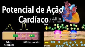 Post 10 by Alila Medical Media em Português on YouTube (video)