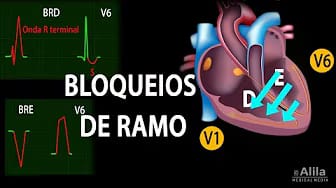 Post 2 by Alila Medical Media em Português on YouTube (video)