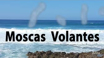 Post 1 by Alila Medical Media em Português on YouTube (video)