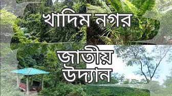 Post 6 by Tanvir Ahmed on YouTube (video)