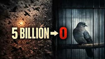 Post 1 by Silent Witness Stories on YouTube (video)