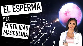 Post 9 by Dr. Laura Ardila on YouTube (video)
