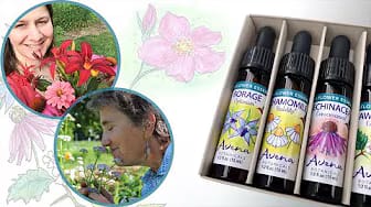 Post 2 by Avena Botanicals on YouTube (video)