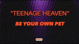 Post 6 by Be Your Own Pet on YouTube (video)